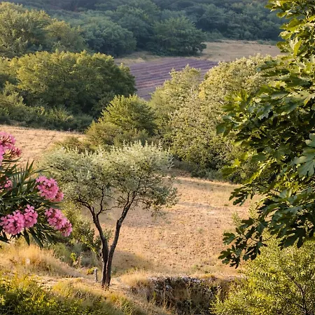 Les Noisetiers - Gîte d'exception sur les hauteurs du village Appartement Saint-Montan